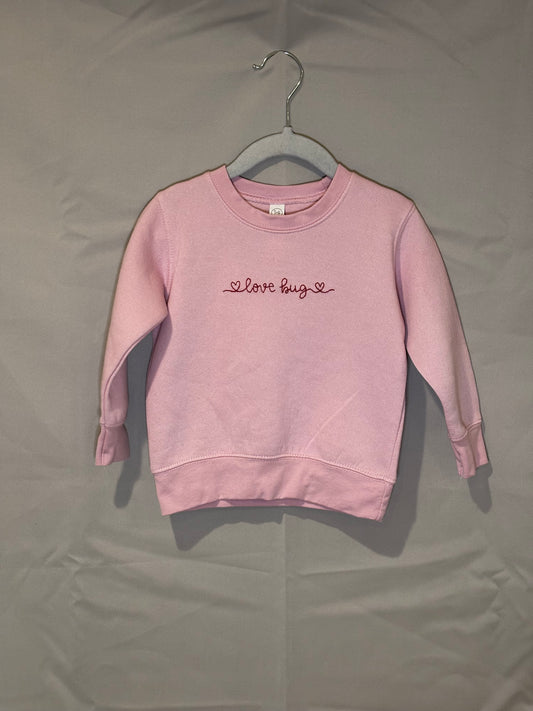love bug pullover 2T